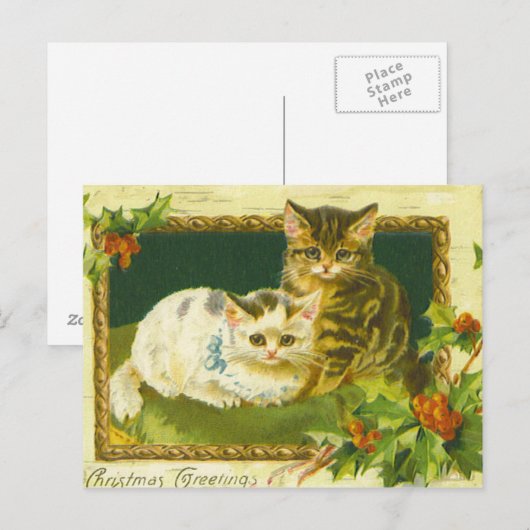 Kerst Kittens  Briefkaart (Voorkant / Achterkant)