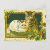 Kerst Kittens  Briefkaart (Voorkant)