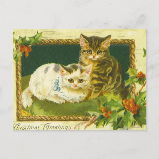 Kerst Kittens  Briefkaart (Voorkant)