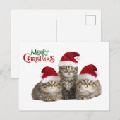 Kerst Kittens Feestdagenkaart (Voorkant / Achterkant)