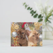 Kerst Kittens Vakantie Katten Briefkaart (Staand voorkant)