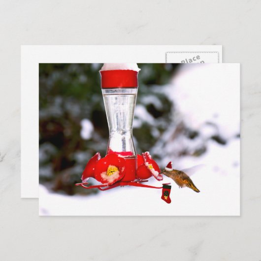 Kerst kolibrie en sneeuw feestdagenkaart (Voorkant / Achterkant)