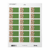 Kerst Kous Kat Adresetiketten Etiket (Full Sheet)