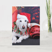 Kerst - LabraDoodle - Izzy Feestdagen Kaart (Voorkant)