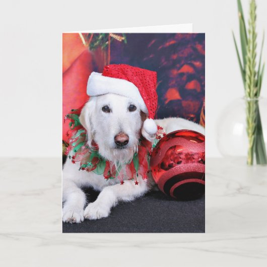 Kerst - LabraDoodle - Izzy Feestdagen Kaart (Voorkant)