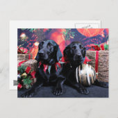 Kerst - Labrador - Banjo en Boomer Feestdagenkaart (Voorkant / Achterkant)
