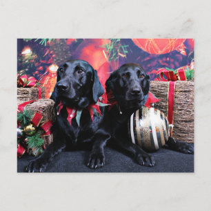 Kerst - Labrador - Banjo en Boomer Feestdagenkaart