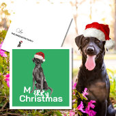 Kerst Labrador Hond Wit Groen Vrolijk Groet