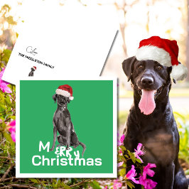 Kerst Labrador Hond Wit Groen Vrolijk Groet