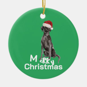 Kerst Labrador Hond Wit Groen Vrolijk Groet Keramisch Ornament