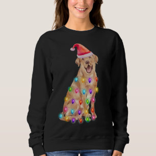 Kerst Labrador Retriever Matching Group Familie Trui