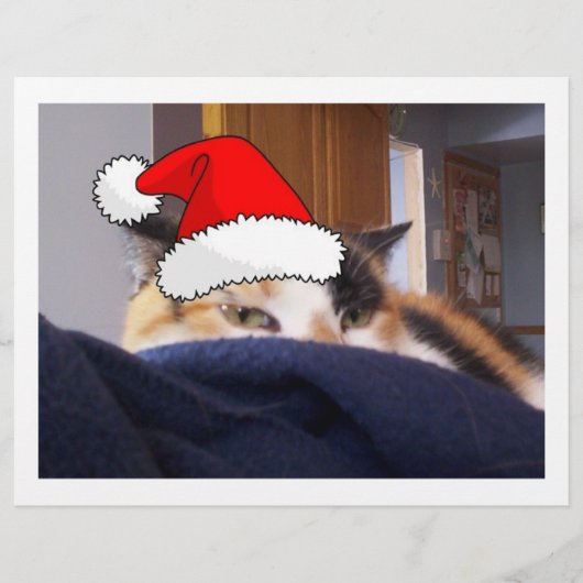 Kerst Lapjeskat Flyer (Voorkant)