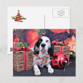 Kerst - Louellen Setter - Veruka Feestdagenkaart (Voorkant / Achterkant)