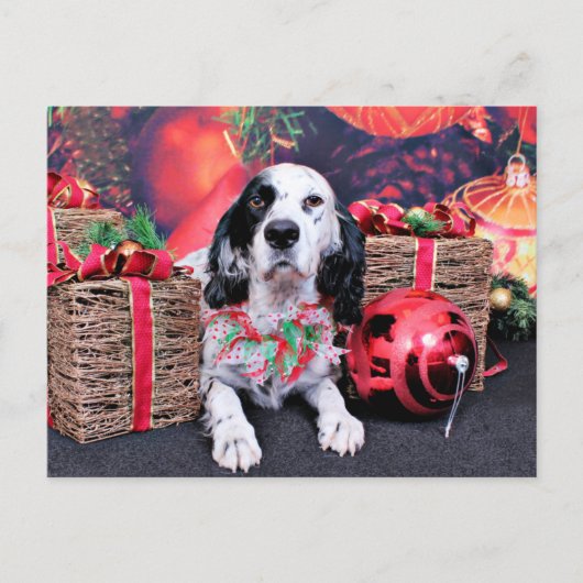 Kerst - Louellen Setter - Veruka Feestdagenkaart (Voorkant)