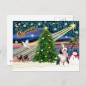 Kerst Magic Bearded Collie 4 Feestdagenkaart (Voorkant / Achterkant)