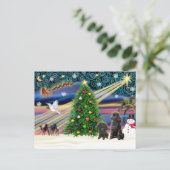 Kerst Magische Poedels (twee zwarte Speelgoed) Feestdagenkaart (Staand voorkant)
