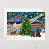 Kerst Magische Poedels (twee zwarte Speelgoed) Feestdagenkaart (Voorkant / Achterkant)