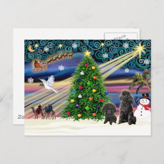 Kerst Magische Poedels (twee zwarte Speelgoed) Feestdagenkaart (Voorkant / Achterkant)