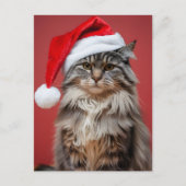 Kerst Maine Coon Kat in Santa Hoed Kerstmis Feestdagenkaart (Voorkant)