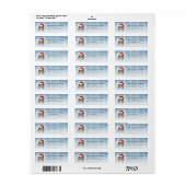 Kerst Maine Coon Kat Retourlabels Etiket (Full Sheet)