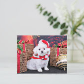 Kerst - Maltees - Zoey Feestdagenkaart (Staand voorkant)