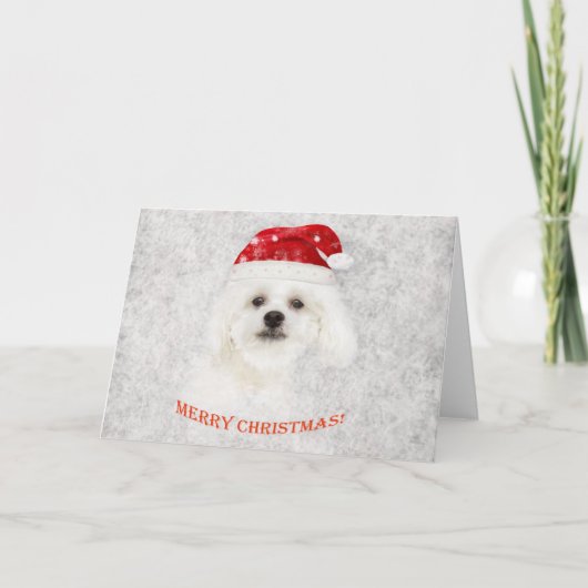 Kerst Maltese puppy Feestdagen Kaart (Voorkant)