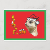 Kerst Meerkat Rood Briefkaart (Voorkant)
