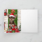 Kerst met Chihuahua-hond  Kaart (Binnen)