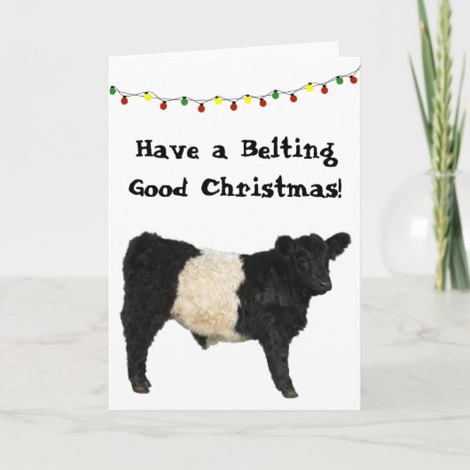 Kerst met een mooie Belted Galloway Beltie Koe Kaart (Voorkant)
