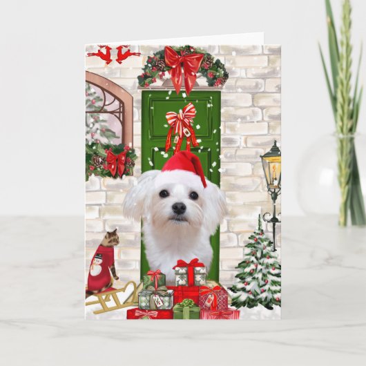 Kerst met Maltese hond  Kaart (Voorkant)