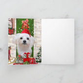 Kerst met Maltese hond  Kaart (Binnen)