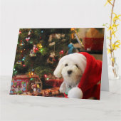 Kerst Mooie Poodle Kaart (Gele Bloem)