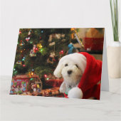 Kerst Mooie Poodle Kaart (Voorkant)