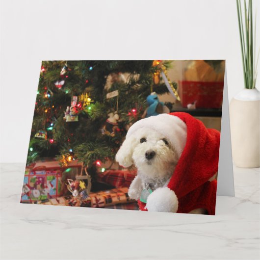 Kerst Mooie Poodle Kaart (Voorkant)