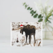Kerst Moose en Duck Feestdagenkaart (Staand voorkant)