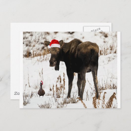 Kerst Moose en Duck Feestdagenkaart (Voorkant / Achterkant)