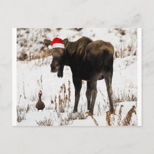 Kerst Moose en Duck Feestdagenkaart