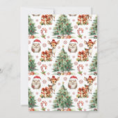 Kerst Nederland eerste verjaardag uitnodiging (Achterkant)