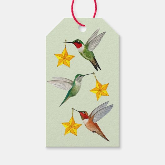 Kerst Noord-Amerikaanse Kolibrie Geschenklabel Cadeaulabel (Voorkant)