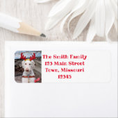 Kerst-Ollie Etiket (Insitu)