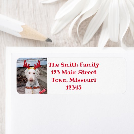 Kerst-Ollie Etiket (Insitu)