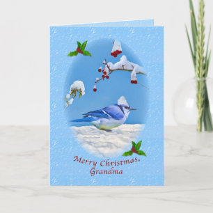 Kerst, oma, blauwe vogel en sneeuw feestdagen kaart