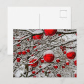 Kerst ornamenten rode kerstballen boom sneeuwtakke feestdagenkaart (Voorkant / Achterkant)