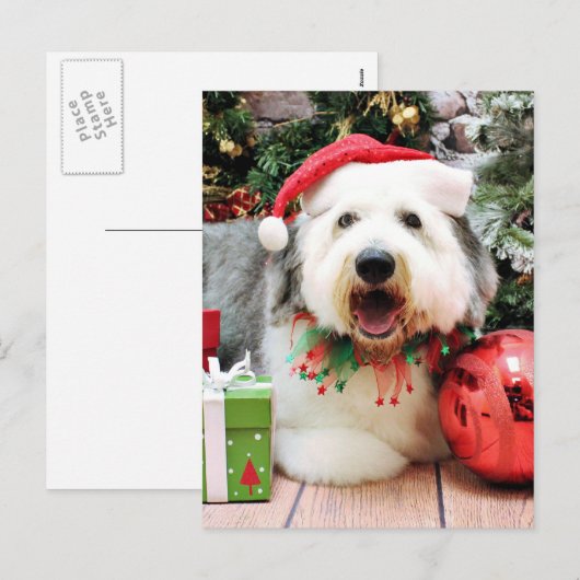 Kerst - Oudengelse herdershond - Alphy Feestdagenkaart (Voorkant / Achterkant)