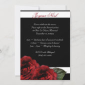 Kerst Parijs Roos Eiffeltoren White Stripe Kaart (Achterkant)