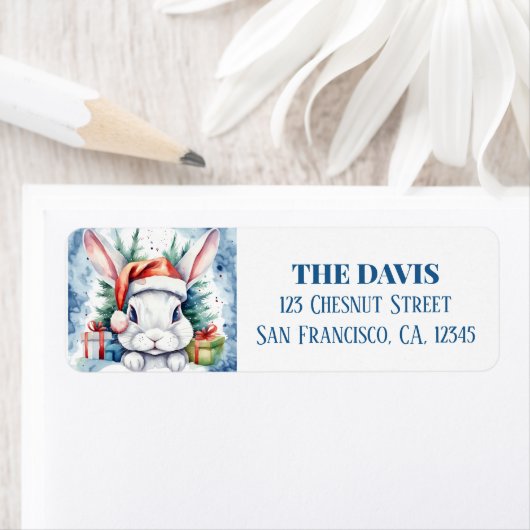 Kerst Pet Feestelijk Konijn Etiket (Insitu)