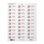 Kerst Pet Feestelijke Gans - Retouradres Etiket (Full Sheet)