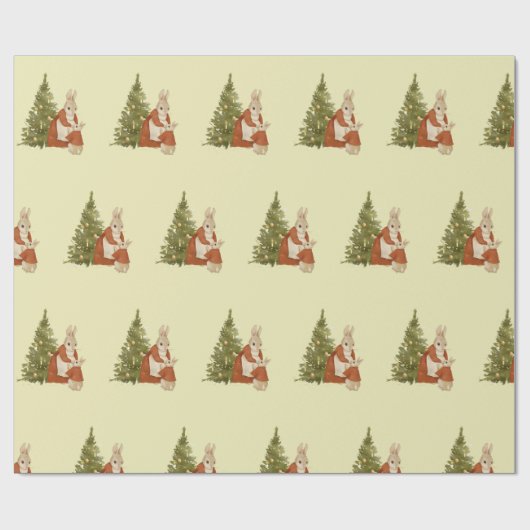 Kerst Peter Rabbit  Cadeaupapier (Vlak)