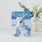 Kerst Pitbull Dog Snowman Briefkaart (Staand voorkant)