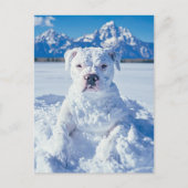 Kerst Pitbull Dog Snowman Briefkaart (Voorkant)